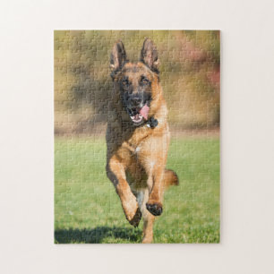 Puzzle Shepherd Running alemán