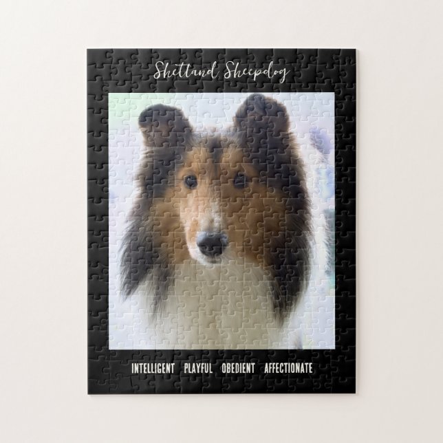 Puzzle Shetland Sheepdog Photo Dog Rama (Vertical)