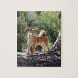 Puzzle Shiba Inu