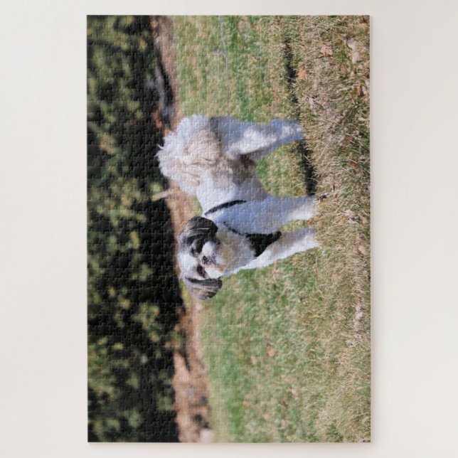 Puzzle Shih Tzu (Vertical)