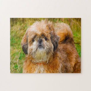 Puzzle Shih Tzu Dog Jigsaws.