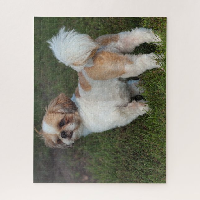 Puzzle Shih Tzu, el más chiquito (Vertical)