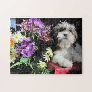 Puzzle ¡SHIH TZU! … gazuntite.