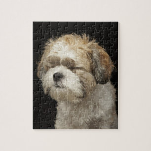 Puzzle Shih Tzu marrón y blanco con los ojos cerrados
