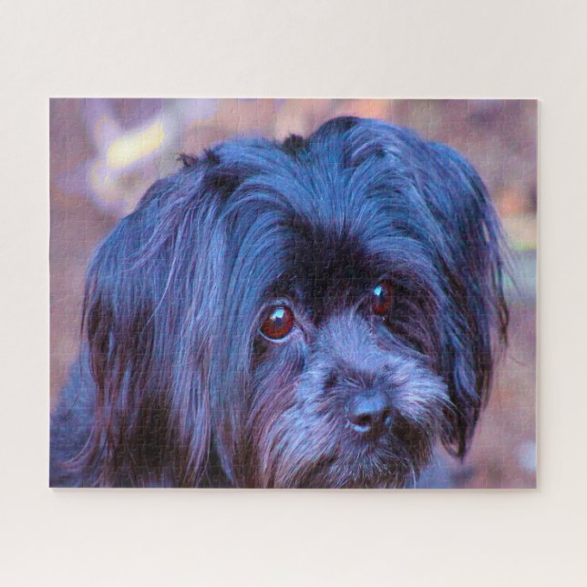 Puzzle Shih Tzu Perro Jigsaws. (Horizontal)