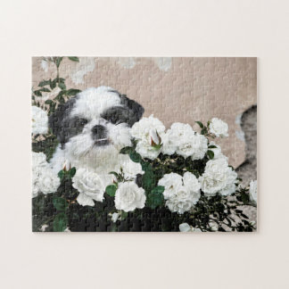 Puzzle Shih Tzu y rosas