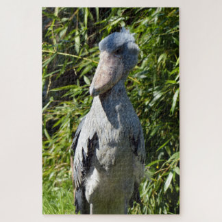 Puzzle Shoebill (Balaeniceps rex)