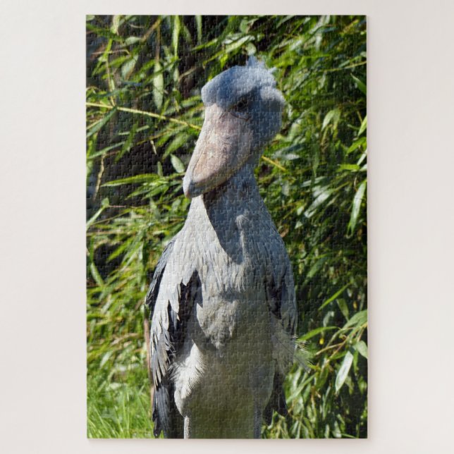 Puzzle Shoebill (Balaeniceps rex) (Vertical)