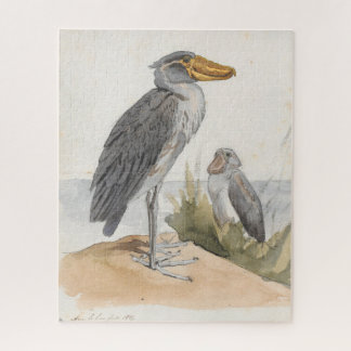 Puzzle Shoebill Stork 1887 Print Zoological African