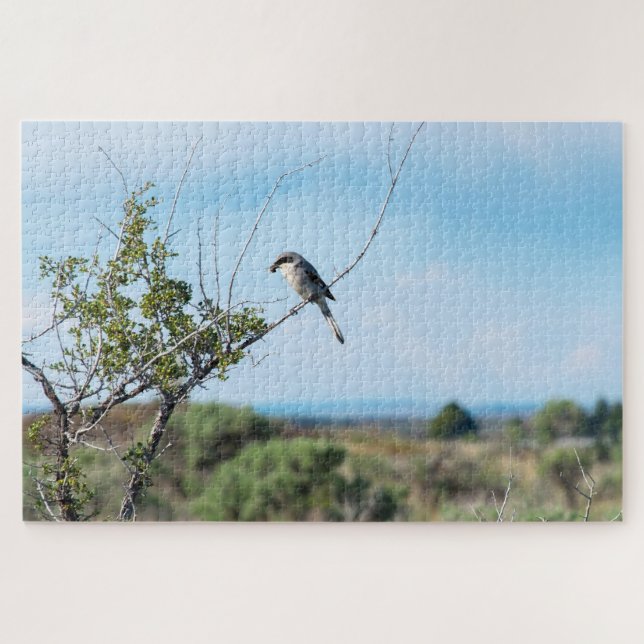 Puzzle Shrike del Norte (Horizontal)