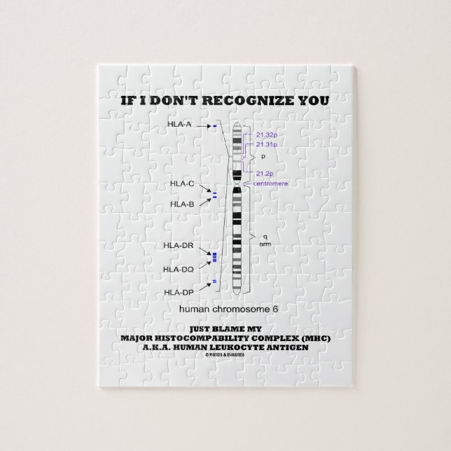 Puzzle Si no reconozco usted apenas culpa mi biología de (Vertical)