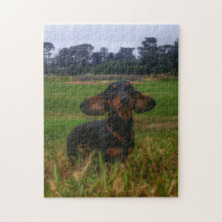 Puzzle Si usted lo construye vendrán