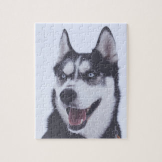 Puzzle Siberian Husky