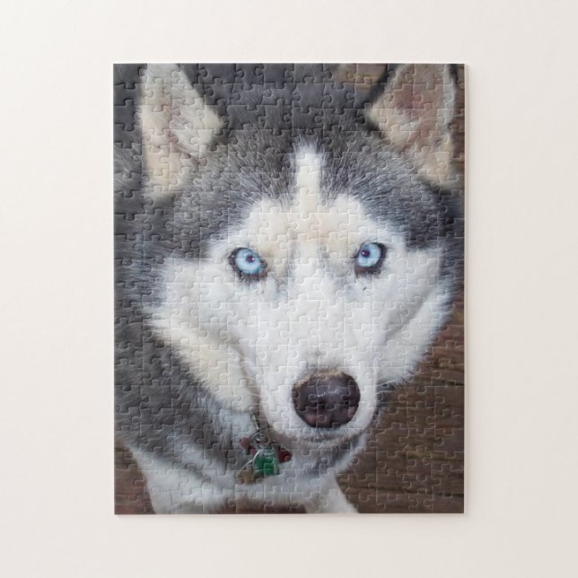 Puzzle Siberian_Husky_blue-eyed.png (Vertical)