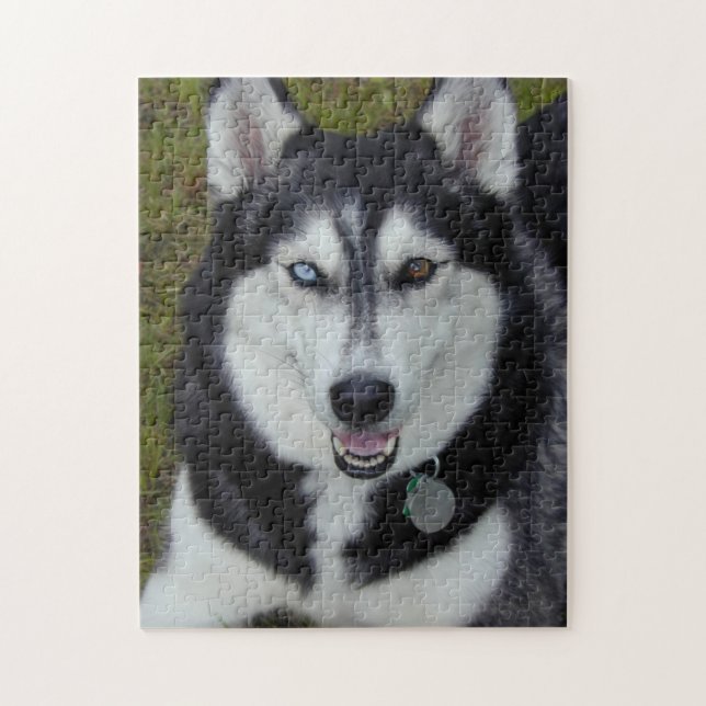 Puzzle Siberiano BI-Observado Huskie (Vertical)