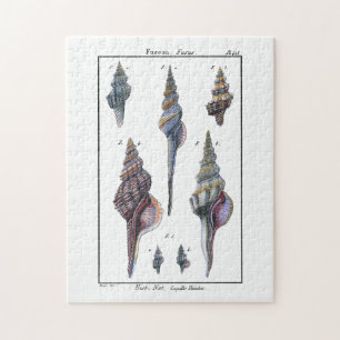 Puzzle Siete Cascos Coloridos