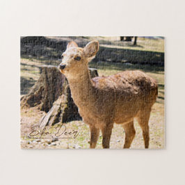 Puzzle Sika Deer en el parque Nara