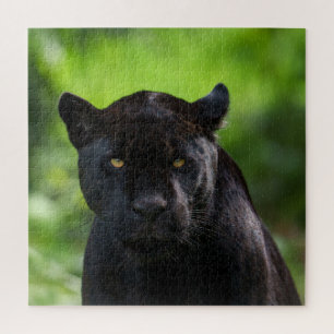 Puzzle Silencio de Piercing - Jaguar negro