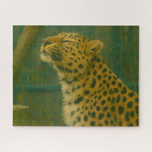Puzzle Silencio iluminado por el sol - Leopardo en paro