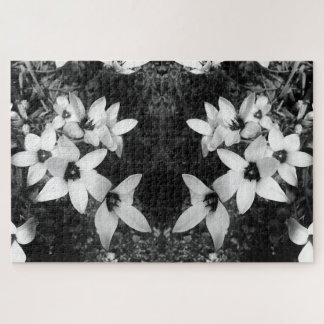 Puzzle Silent Symmetry