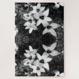 Puzzle Silent Symmetry