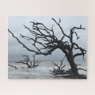 Puzzle Silhouette de árbol muerto en la isla Jekyll