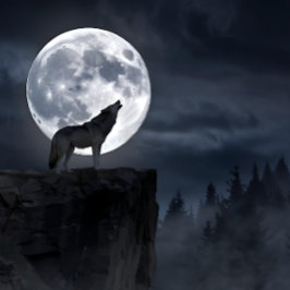 Puzzle Silhouette Gray Wolf Full Moon