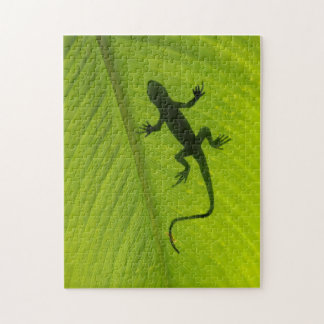 Puzzle Silueta del Gecko
