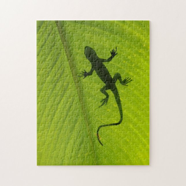Puzzle Silueta del Gecko (Vertical)