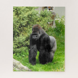 Puzzle Silverback gorilla animal