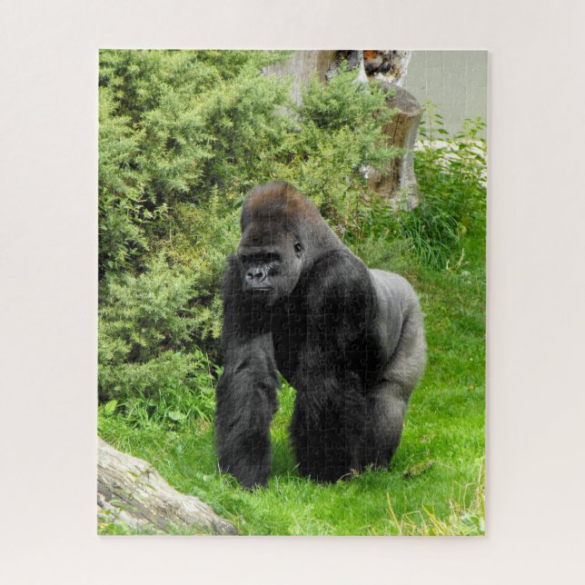 Puzzle Silverback gorilla animal (Vertical)
