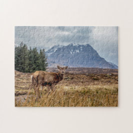Puzzle Silvestre rojo en Glencoe Scotland