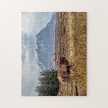 Silvestre rojo en Glencoe Scotland