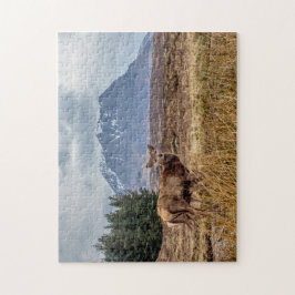 Puzzle Silvestre rojo en Glencoe Scotland