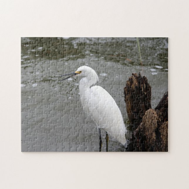 Puzzle Singing Snowy Egret (Horizontal)