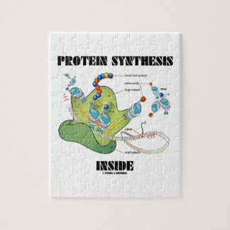 Puzzle Síntesis de proteínas en el interior (ARNm)