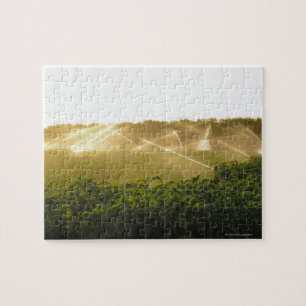 Puzzle Sistema de irrigación agrícola que riega 2