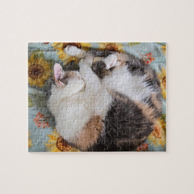 Puzzle Sleeping Calico (Horizontal)