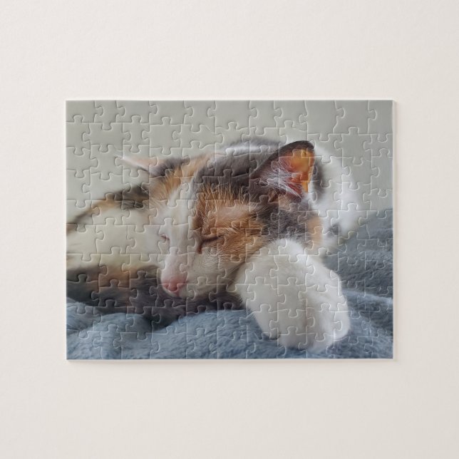 Puzzle Sleeping Calico (Horizontal)