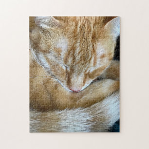 Puzzle Sleeping naranja tabby cat