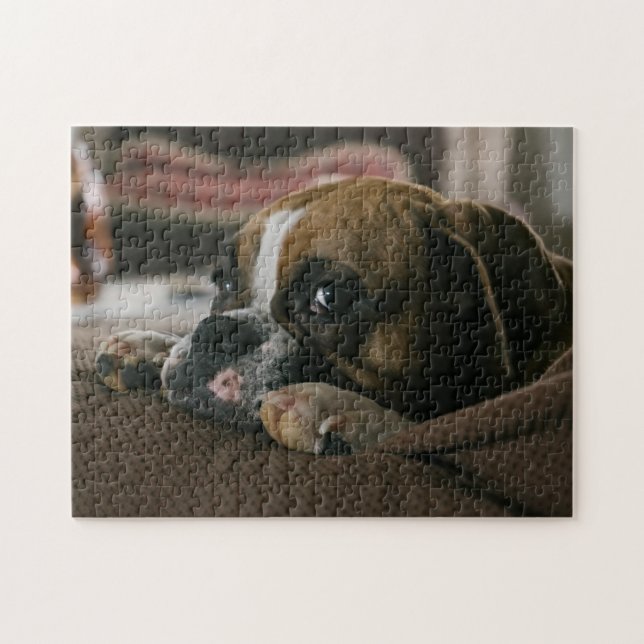 Puzzle Sleepy Boxer Dog (Horizontal)