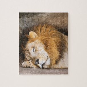 Puzzle Sleepy Dreaming Adulto León sobre Rocas