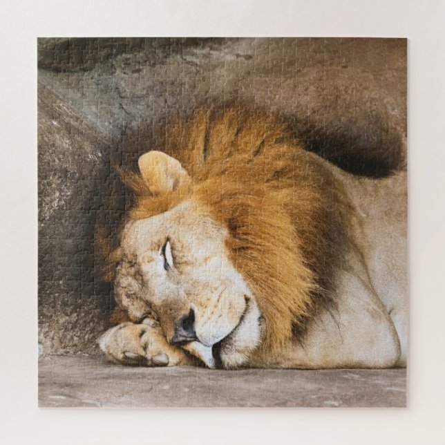 Puzzle Sleepy Dreaming Adulto León sobre Rocas (Vertical)