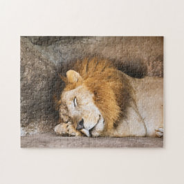 Puzzle Sleepy Dreaming Adulto León sobre Rocas