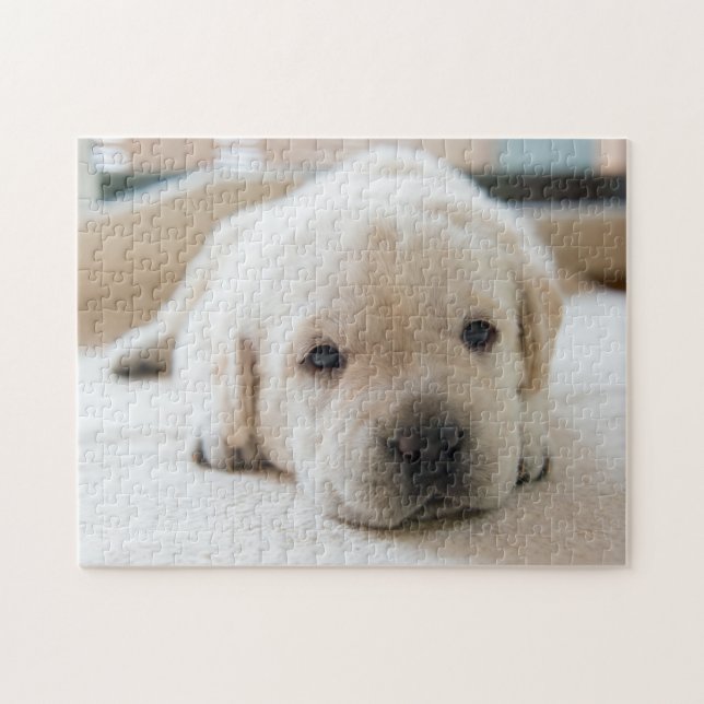 Puzzle Sleepy Golden Labrador Puppy (Horizontal)