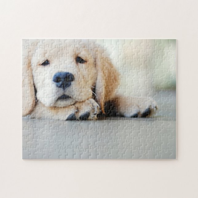Puzzle Sleepy Golden Retriever Puppy (Horizontal)