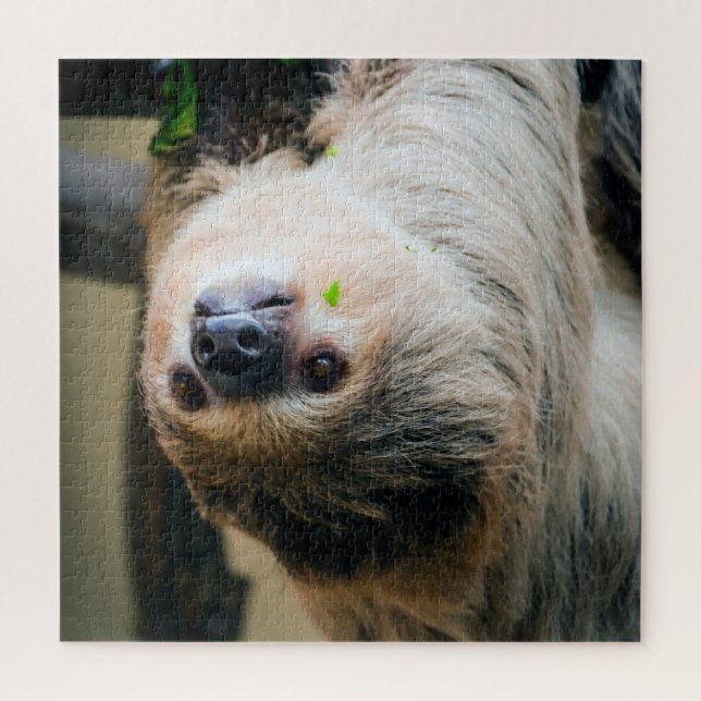 Puzzle Sloth 001 (Vertical)