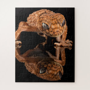 Puzzle Small Cute Lizard Reptile with Reflection