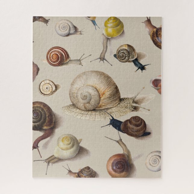 Puzzle Snail Garden Mascota Gastropod Slug Caracoles botá (Vertical)