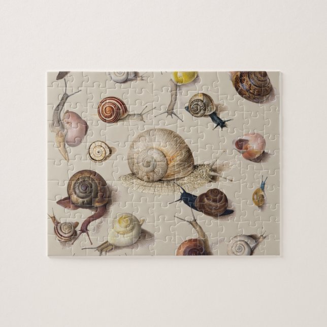 Puzzle Snail Slug Garden Mascota Gastropod Snails Botanic (Horizontal)